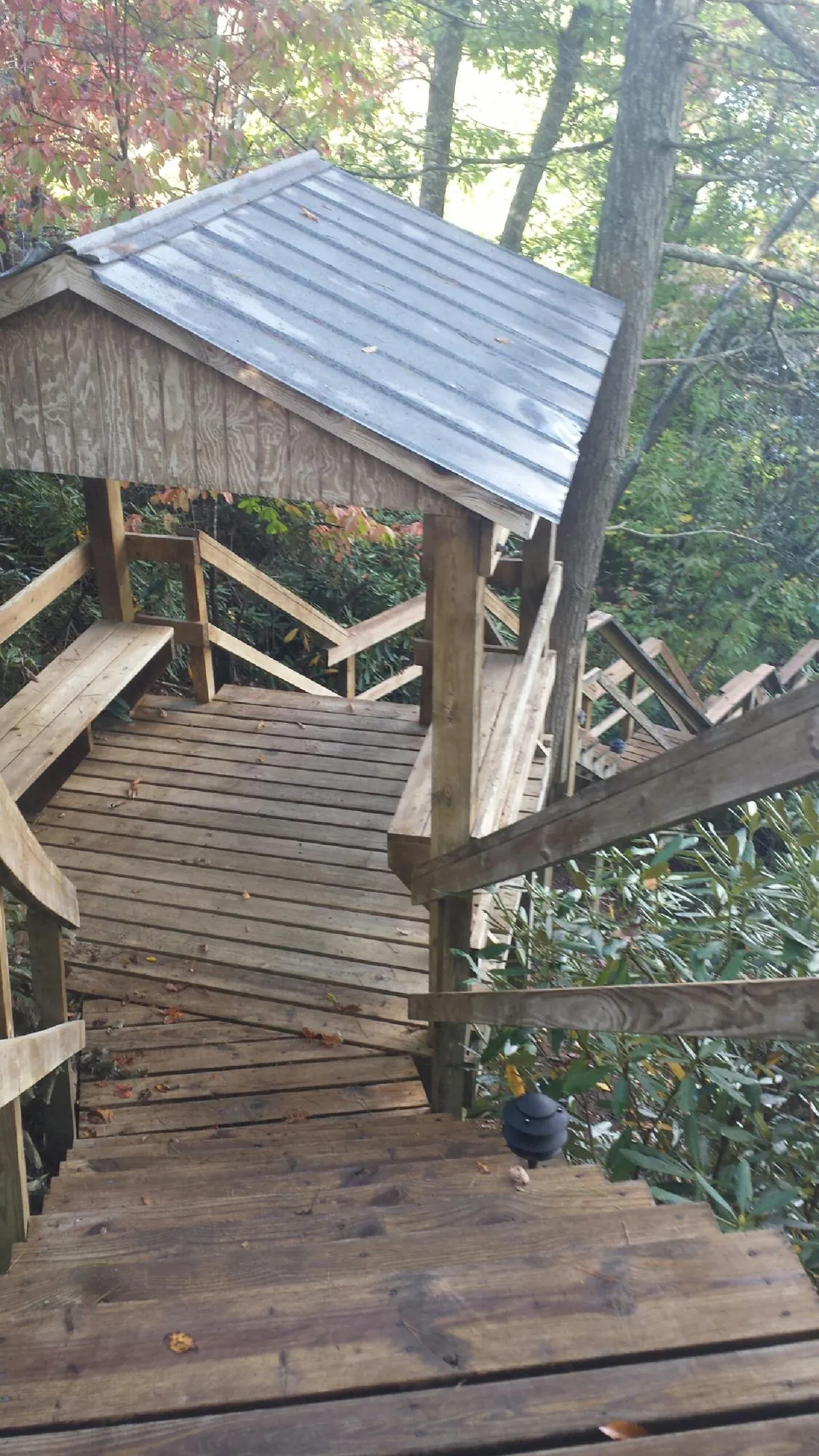 Metal roofed shelter over wooden steps on a wooded walkway — Skylight Repair & Installation work by our crew in Driftwood
